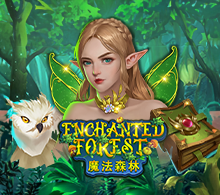 ENCHANTED FOREST RTP