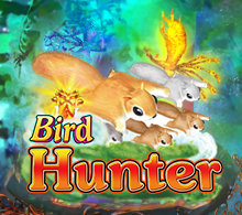 BIRD HUNTER RTP