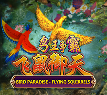 Bird Paradise - Flying Squirrels RTP