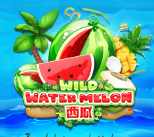 Wild Watermelon RTP