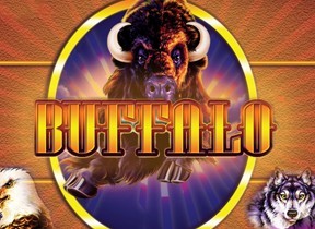 Buffalo RTP