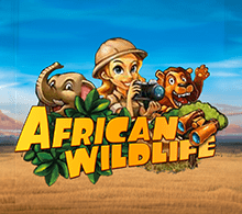 AFRICAN WILDLIFE RTP