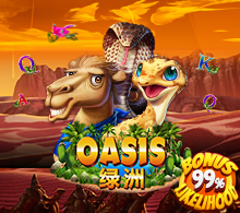 Oasis RTP